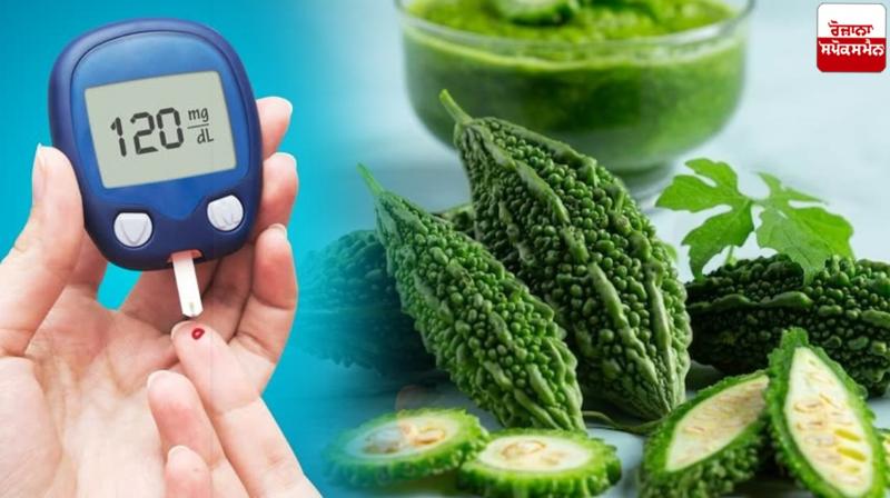 Bitter gourd is beneficial in many diseases, not just diabetes Health News