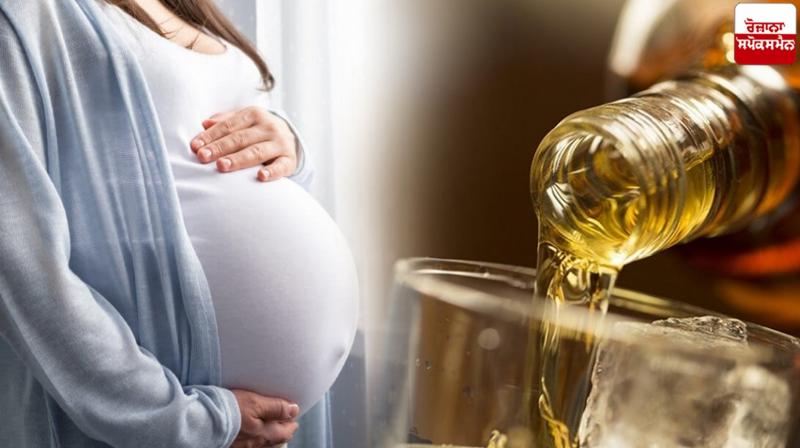 Alcohol affects women's ability to have children Expert Health News in punjabi 