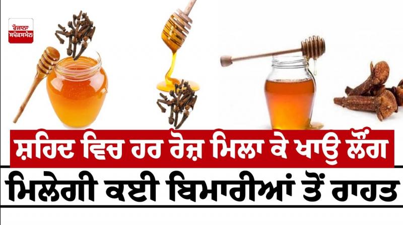  Eat cloves mixed with honey every day, you will get relief from many diseases