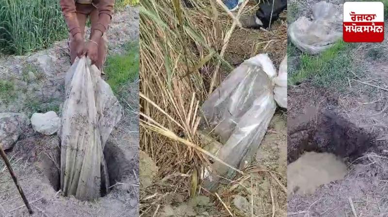  ਪੁਲਿਸ ਤੇ ਐਕਸਾਈਜ਼ ਵਿਭਾਗ ਨੇ ਵੱਖ-ਵੱਖ ਪਿੰਡਾਂ ਦੇ ਖੇਤਾਂ ’ਚੋਂ 5000 ਲੀਟਰ ਤੋਂ ਵੱਧ ਲਾਹਣ ਕੀਤੀ ਬਰਾਮਦ