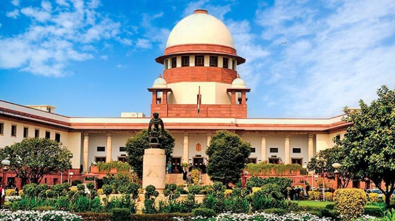 Sudden braking on highway will be considered negligence: Supreme Court