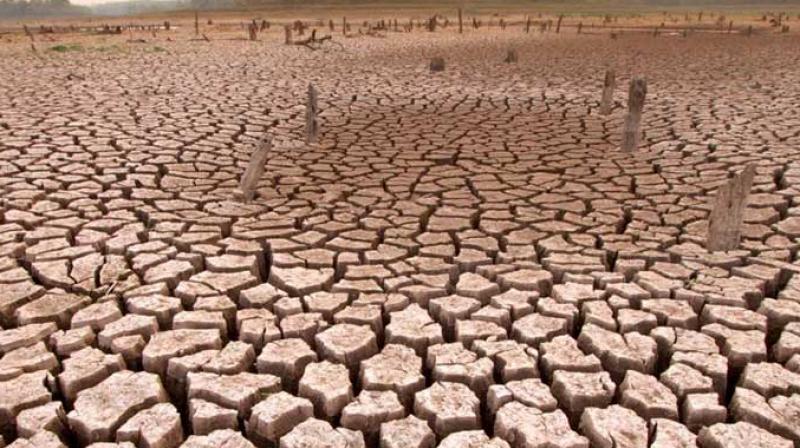 IEP report suggests 2.8 billion people would have to live in dangerous places by 2050