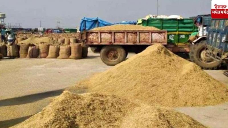 93 percent of the paddy crop purchased so far Farming News