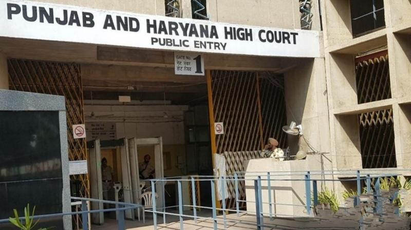 Punjab and Haryana high Court 