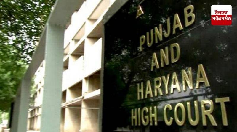 High Court gives big relief to teachers who resigned from Samagra Education, orders government to pay dues