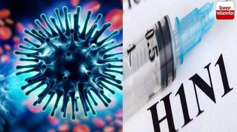 First case of swine flu in Chandigarh News