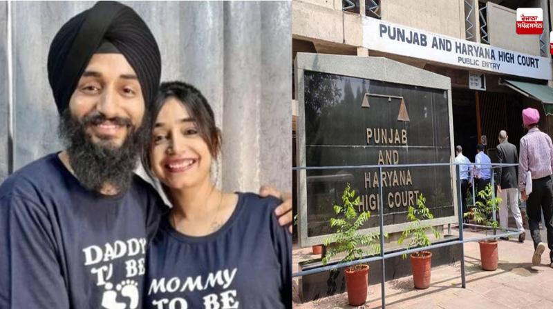 Big relief from High Court to Kulhar Pizza couple, FIR stays