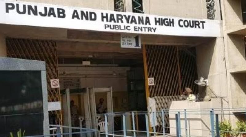 Punjab and Haryana High Court 