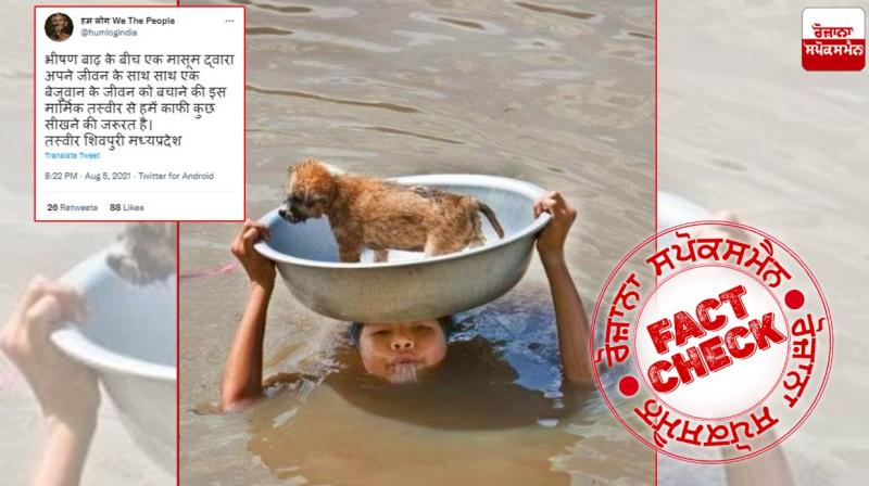 Fact Check Old image of boy saving puppy from drowning shared with fake claim