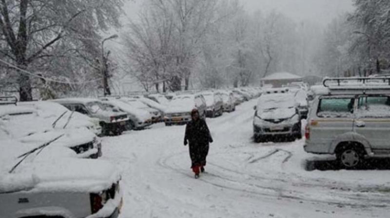 Kashmir Snow