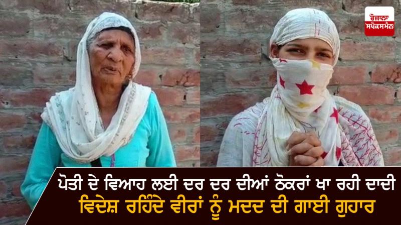 ਉranddaughter's marriage