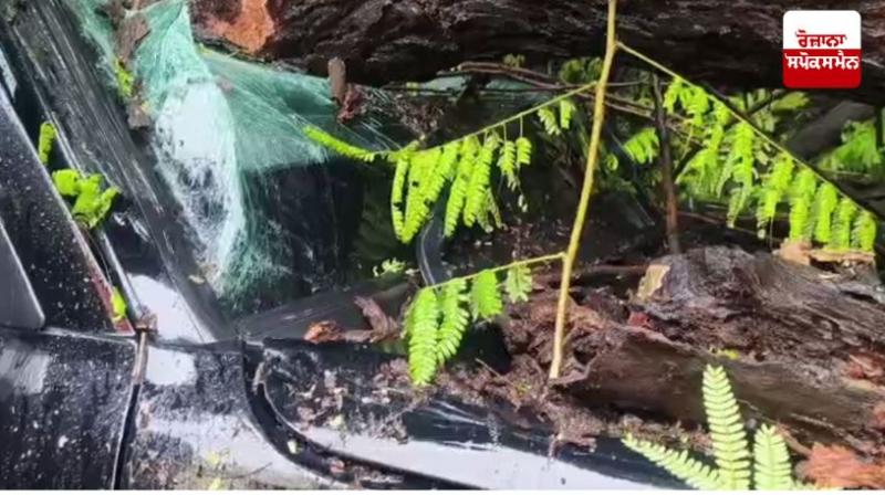 ਪੰਚਕੂਲਾ 'ਚ ਸਕੂਲੀ ਬੱਚਿਆਂ ਨੂੰ ਲਿਜਾ ਰਹੀ ਕਾਰ 'ਤੇ ਵੱਡਾ ਦਰਖੱਤ ਡਿੱਗਿਆ, 6 ਬੱਚੇ ਜ਼ਖਮੀ