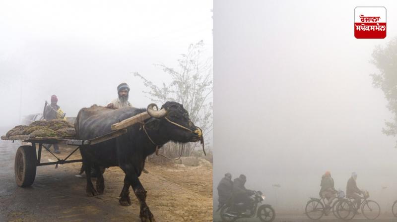 Punjab Weather Update News in punjabi