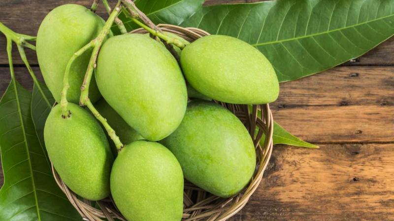 Raw mango will also take care of your health