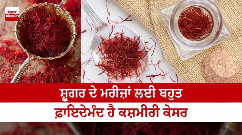 Kashmiri saffron is very beneficial for diabetes patients