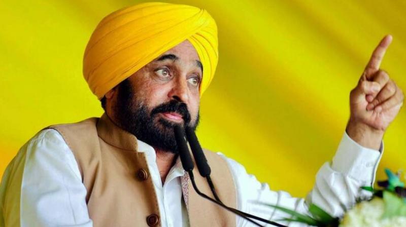 Punjab News: CM Bhagwant Mann has taken an important step to curb drugs