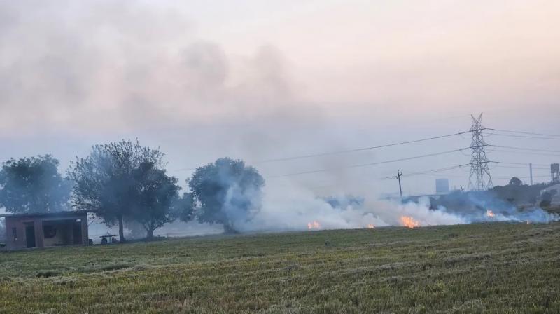 Faridkot Stubble burning