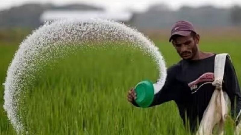 Cabinet approves Rs 24,475 crore subsidy on P&K fertilizers for rabi season