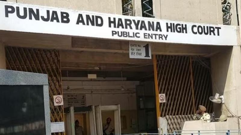 punjab And Haryana High Court