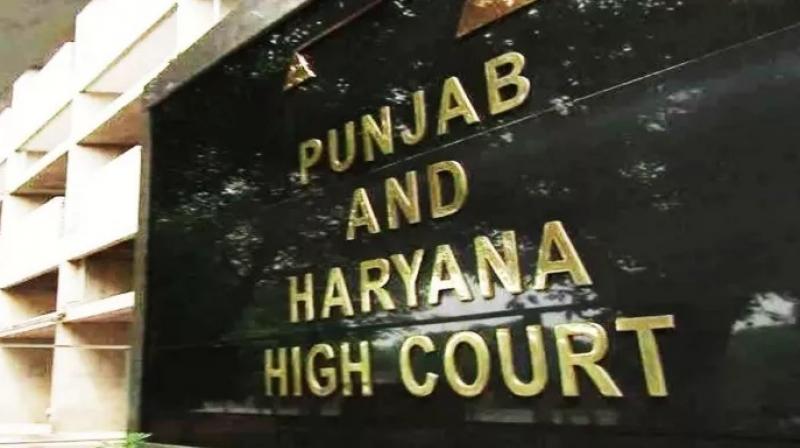 Punjab and Haryana High Court 