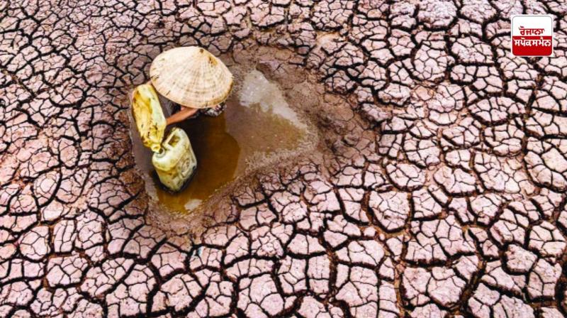 Water crisis threatens half of global food production: report