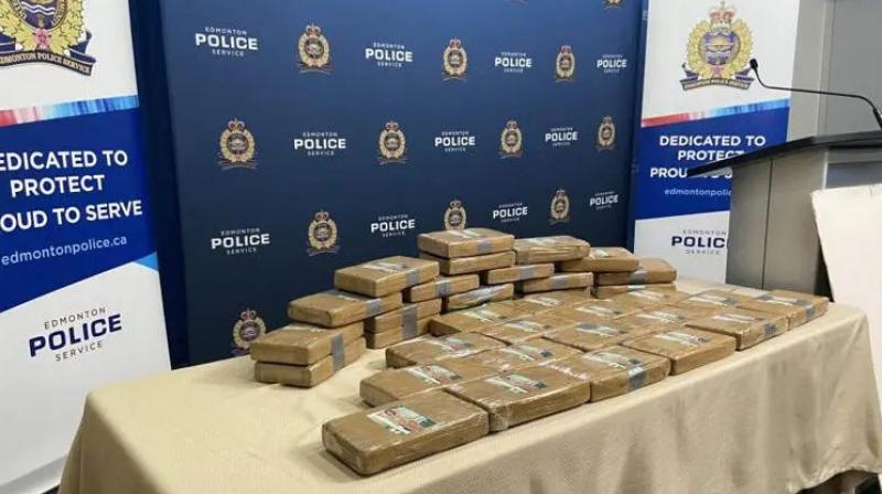 Edmonton police make cocaine bust News