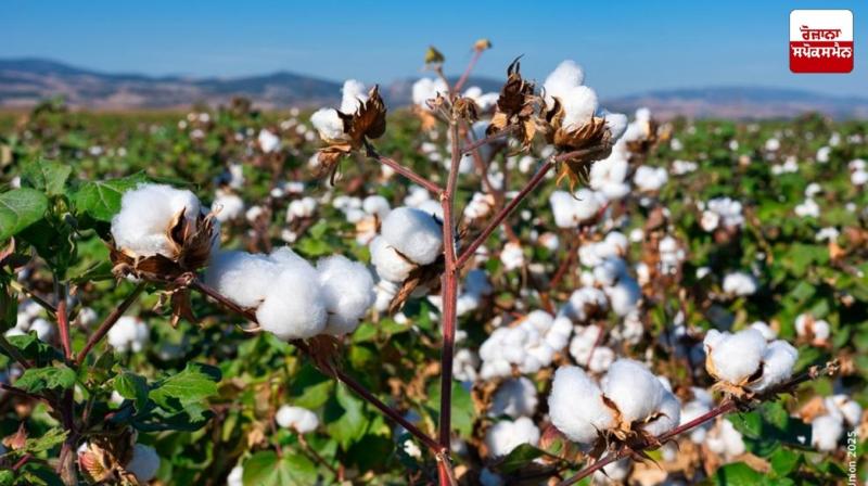 Amid Trump tariffs, Indian government gives big relief to textile industry