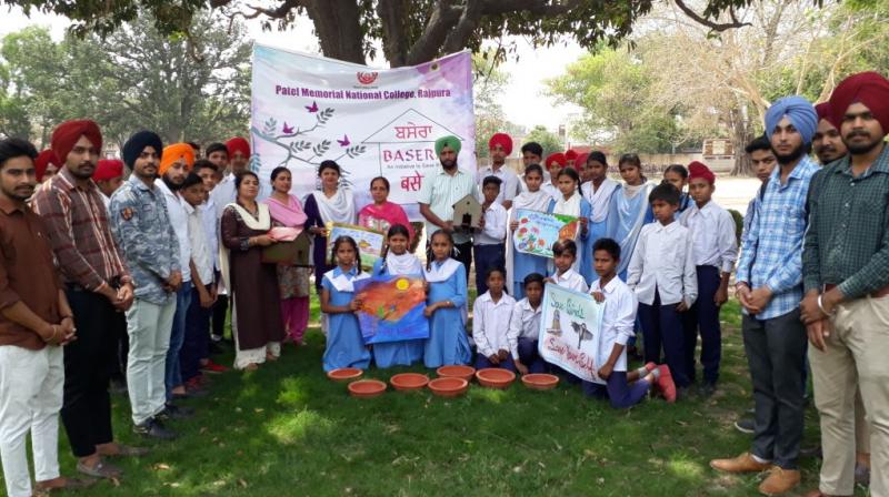 bird rescue campaign