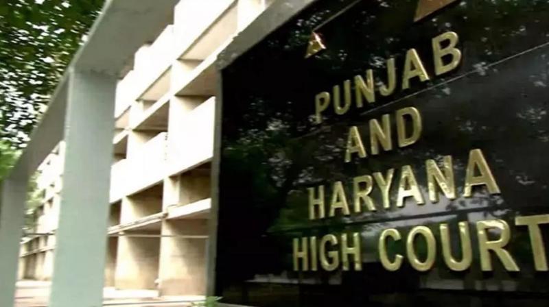 Punjab Haryana High Court 