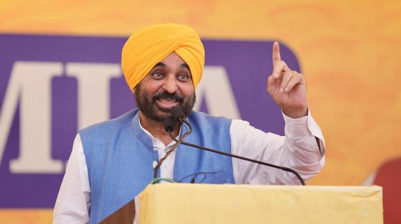 CM Mann congratulated AAP on its victory in the by-elections