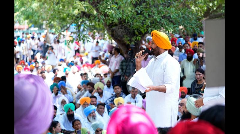 Amrinder Singh Raja Warring