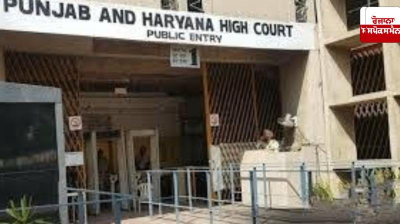 High Court allows sale of unused drain land of Panchayat for government project