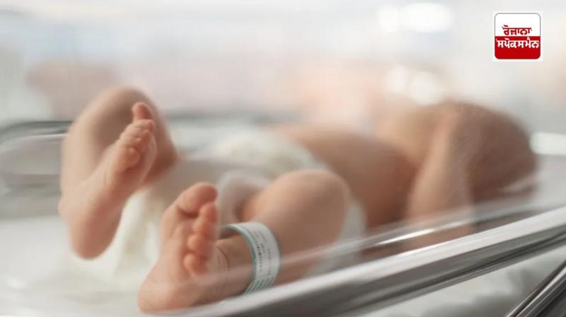 India's first beta kid latest news in punjabi