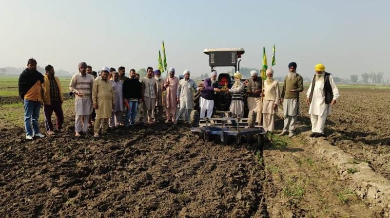 1310 tons of shrimps have been produced due to the efforts of farmers in Sri Muktsar Sahib 