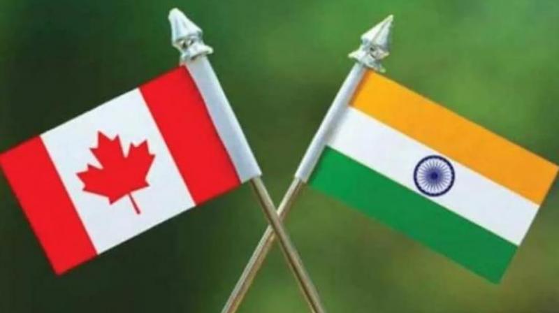 Impact of Indo-Canada tensions on immigration