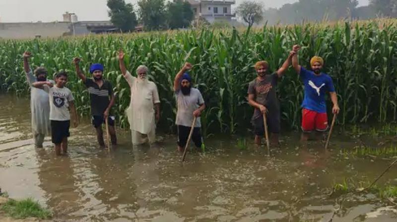Barnala Rajbaha breaking farmers News in punjabi 