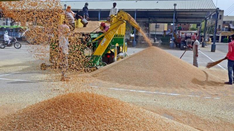 ਕਿਸਾਨਾਂ ਨੇ ਫ਼ੋਨ ਕਰ ਕੇ ਮੰਤਰੀ ਸੰਦੀਪ ਸਿੰਘ ਨੂੰ ਕਿਹਾ, ਨਹੀਂ ਸ਼ੁਰੂ ਹੋਈ ਕਣਕ ਦੀ ਖ਼ਰੀਦ