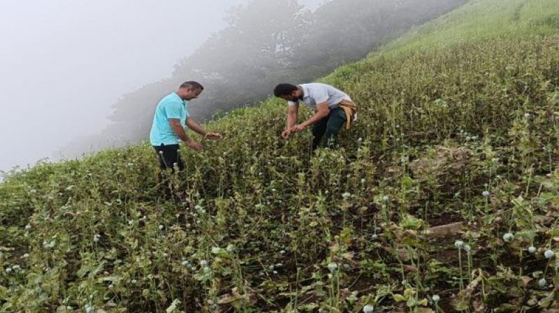 Image: For representation purpose only