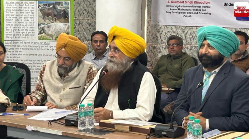 Punjab Government launches free tetanus vaccination campaign for horses, donkeys and mules