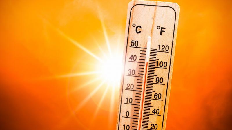 January 2025 hottest month on record: European Climate Agency