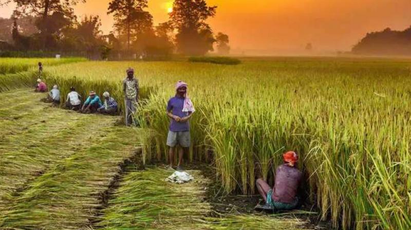 Great news for farmers