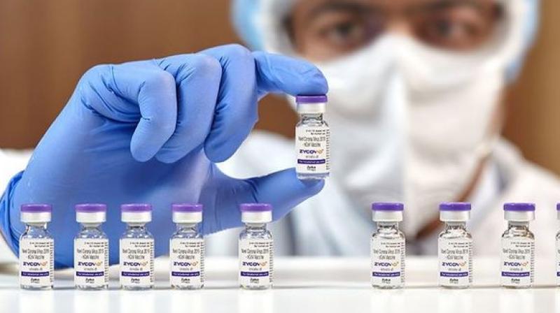 India to buy 10 million doses of Zydus Cadila's Covid-19 vaccine 
