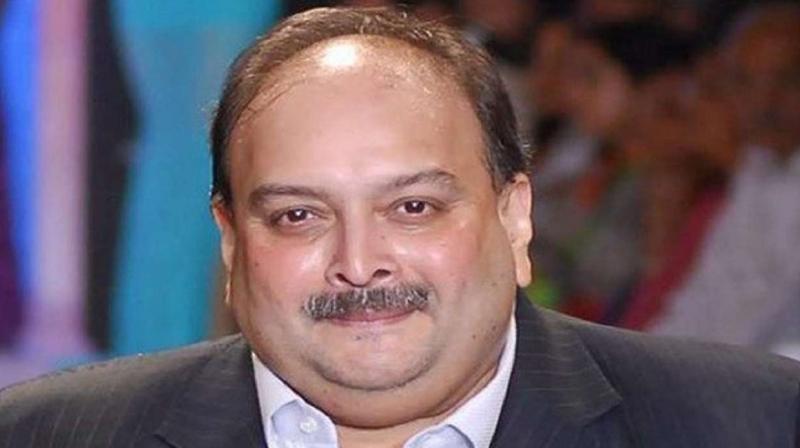 Mehul Choksi