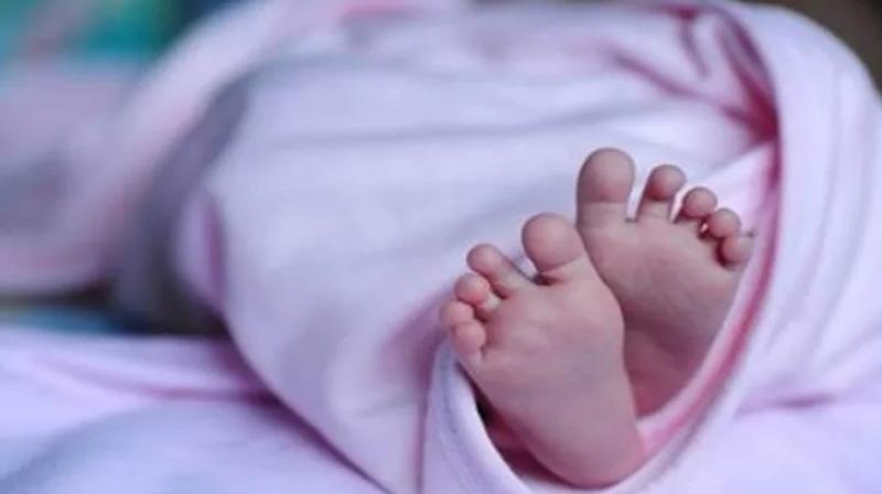Fetus found in Ludhiana private hospital 