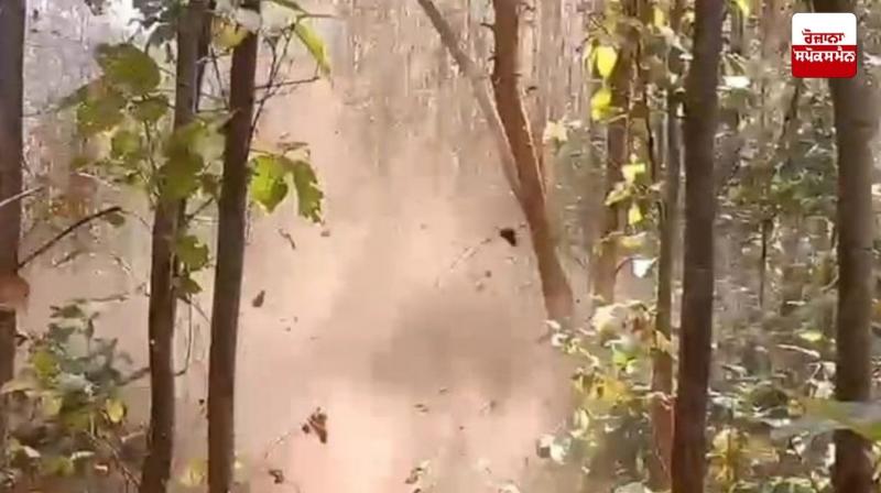 ਵੱਡੀ ਖ਼ਬਰ : ਝਾਰਖੰਡ ਦੇ ਸਾਰੰਡਾ ਜੰਗਲ 'ਚ ਆਈਈਡੀ ਧਮਾਕਾ