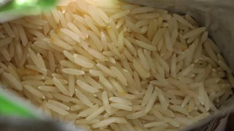 Basmati 1509