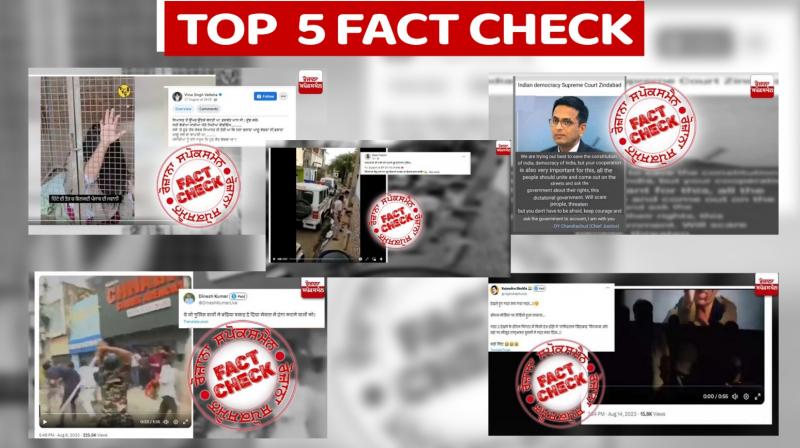 From Nuh violence to girl captured in steel cage read top 5 fact checks