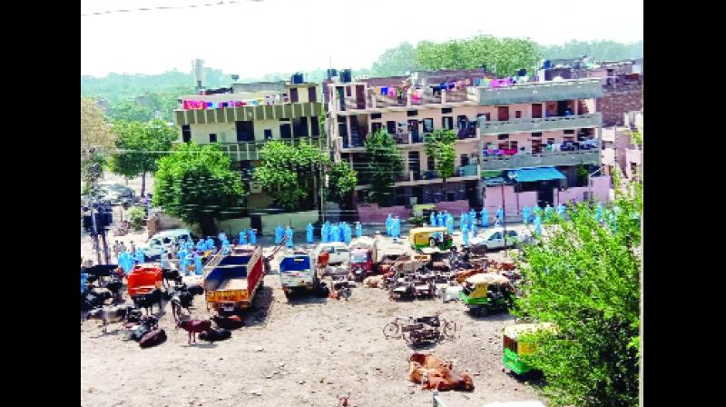 ਬਾਪੂਧਾਮ ਕਾਲੋਨੀ ਦੀ ਤਸਵੀਰ।