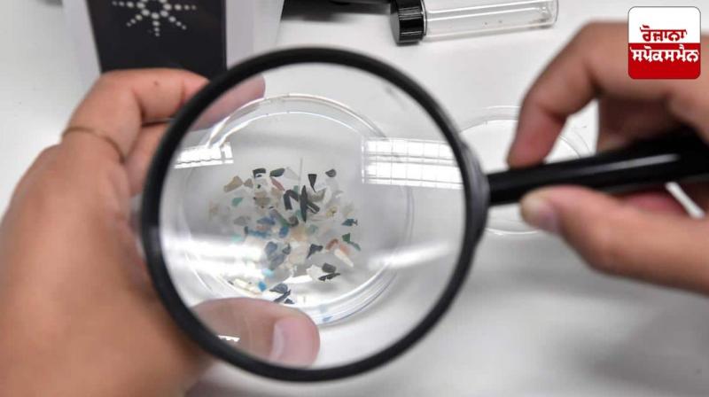 Antibiotic-resistant viruses are forming on plastic!