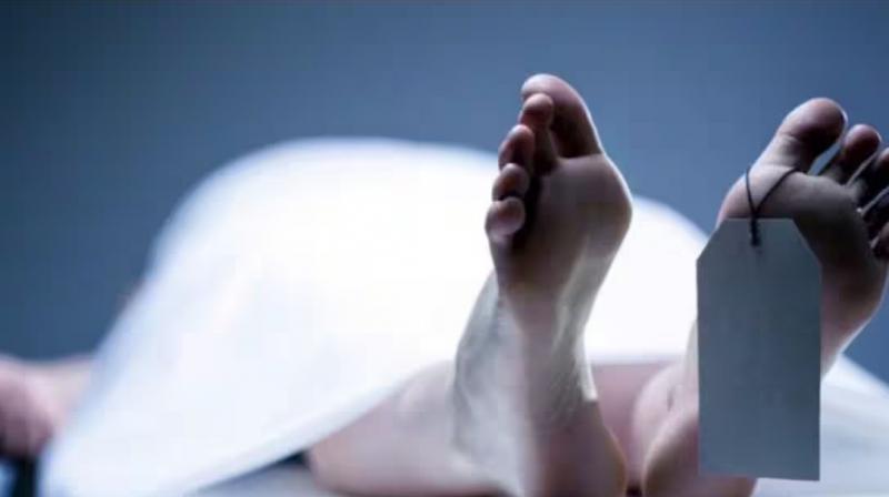 MBBS student committed suicide in Chandigarh News